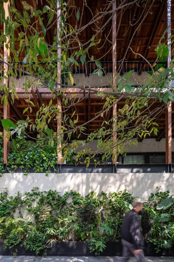 Ana Polanco Apartments Μεξικό Εξωτερικό φωτογραφία