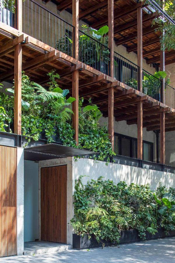 Ana Polanco Apartments Μεξικό Εξωτερικό φωτογραφία
